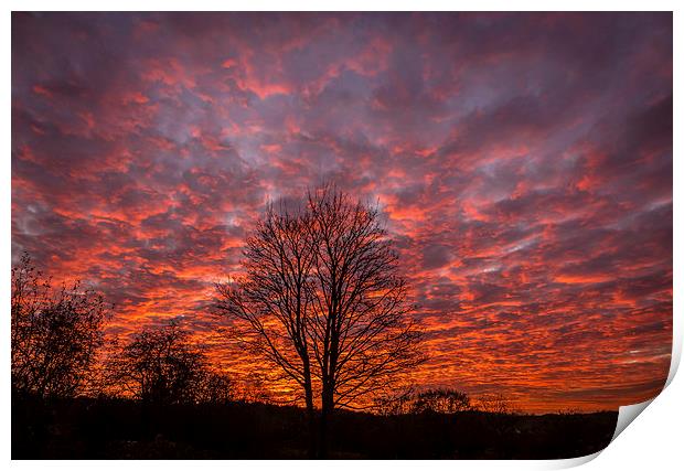 Autumn Sunset Over Cheshire Print by Andy McGarry