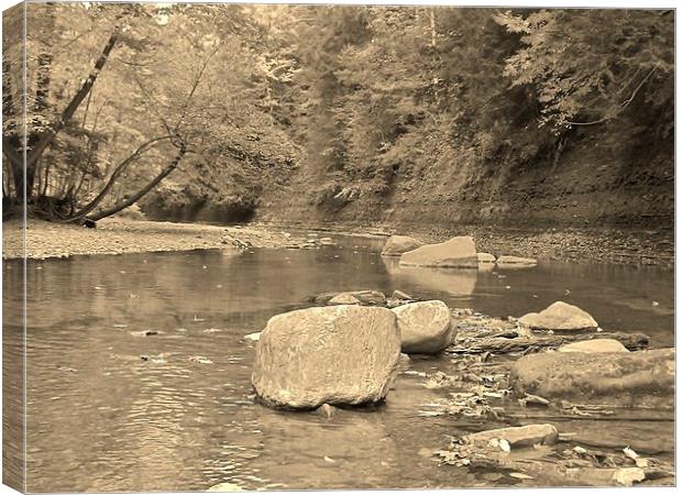 The Rocky Riverbed Canvas Print by Jeffrey Evans
