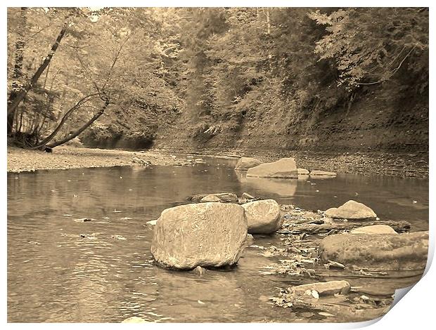 The Rocky Riverbed Print by Jeffrey Evans