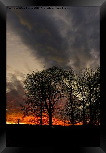 November Drama Framed Print by Ann Garrett