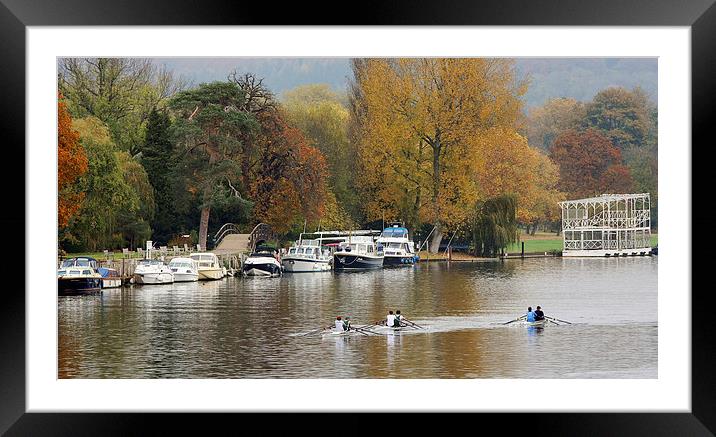 Henley on Thames Framed Mounted Print by Tony Bates