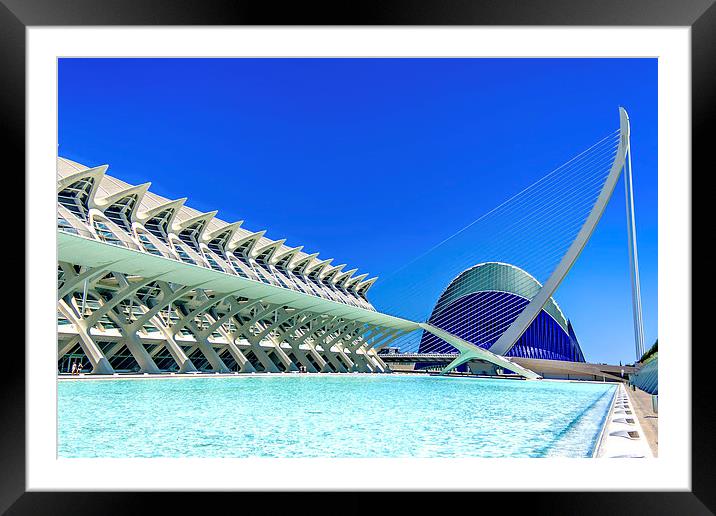 The city of arts and sciencies of Valencia, Spain Framed Mounted Print by Dragomir Nikolov