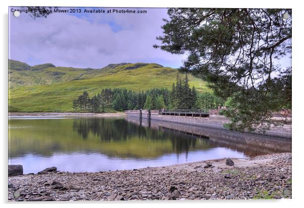 Loch Arklet Dam Scotland Acrylic by Diana Mower