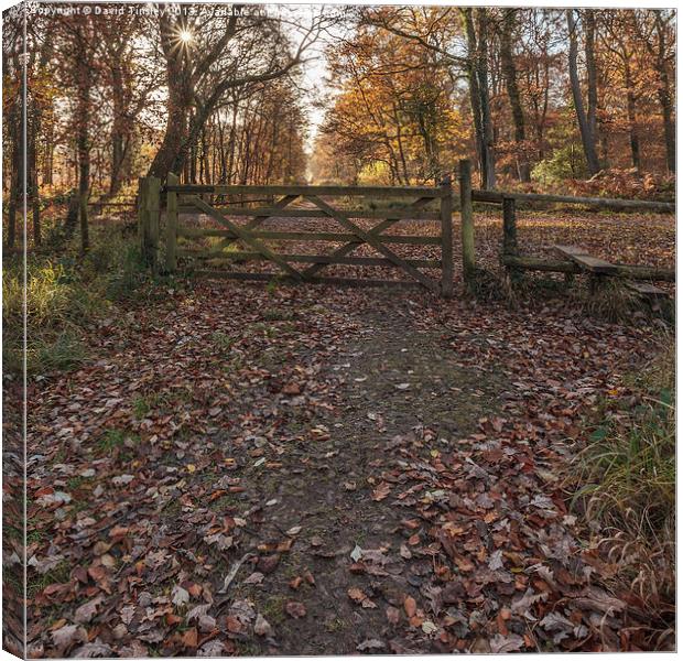 Over the Stile Canvas Print by David Tinsley