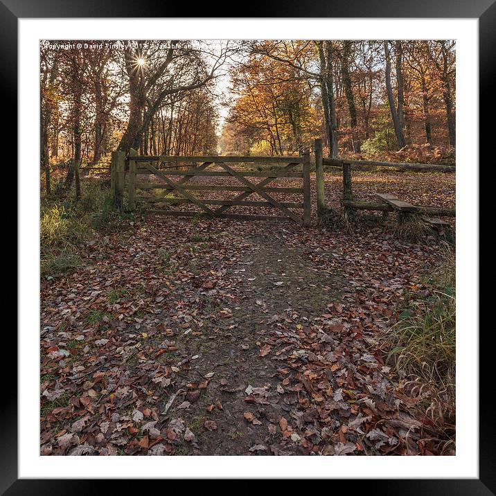 Over the Stile Framed Mounted Print by David Tinsley