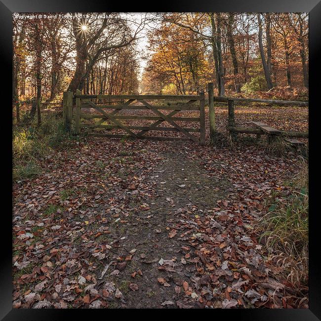 Over the Stile Framed Print by David Tinsley