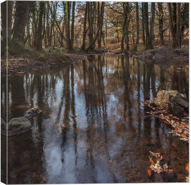 Reflections in the Stream Canvas Print by David Tinsley