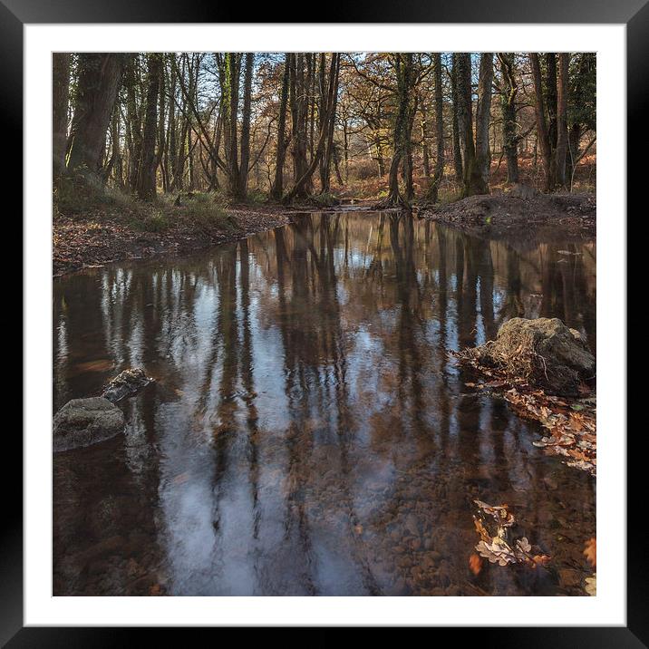 Reflections in the Stream Framed Mounted Print by David Tinsley