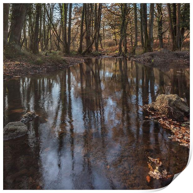Reflections in the Stream Print by David Tinsley