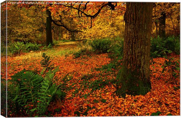 Woodland Trees Canvas Print by Martyn Arnold
