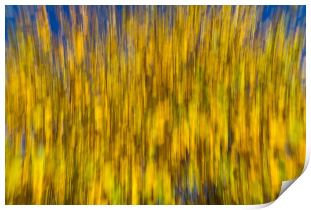 Abstract of Autumn Print by David Pyatt