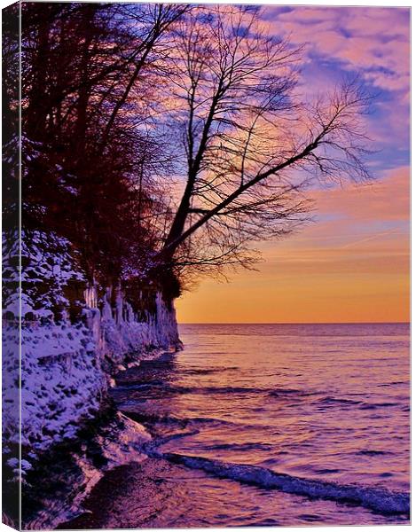 Lake Erie Winter Wash up. Canvas Print by Jeffrey Evans