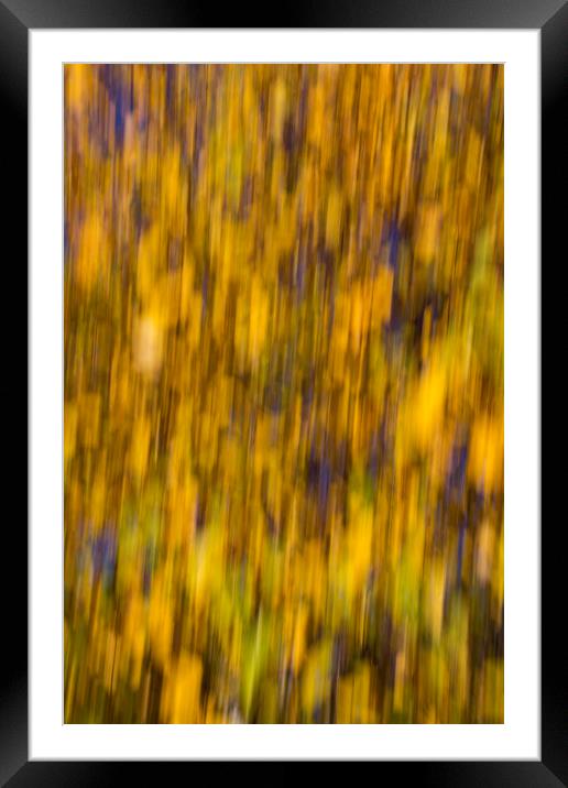 Abstract of Autumn Gold Framed Mounted Print by David Pyatt