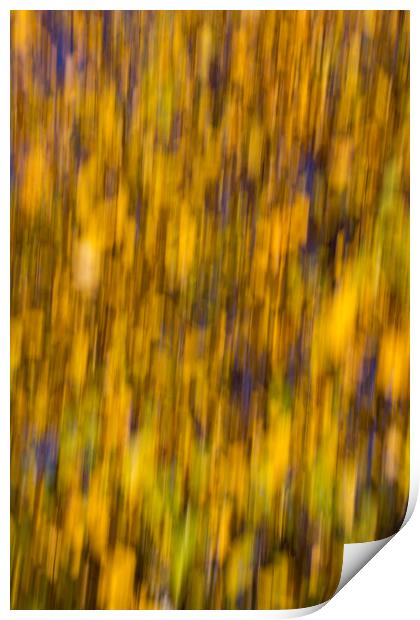 Abstract of Autumn Gold Print by David Pyatt