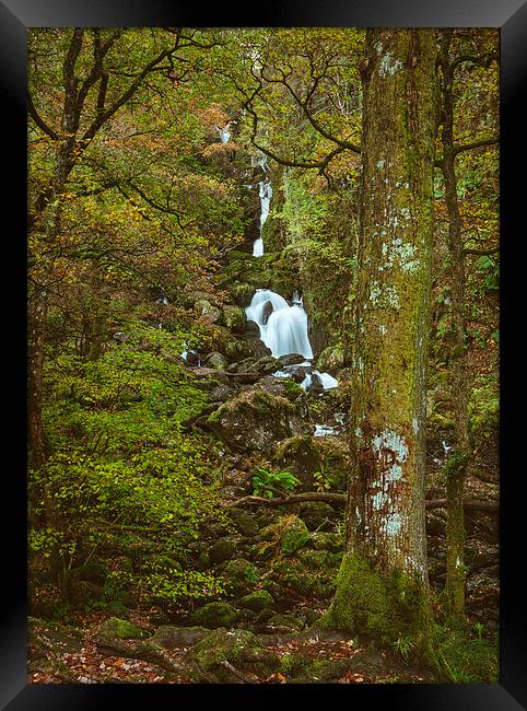 Deciduous woodland and Lodore Falls Waterfall. Framed Print by Liam Grant