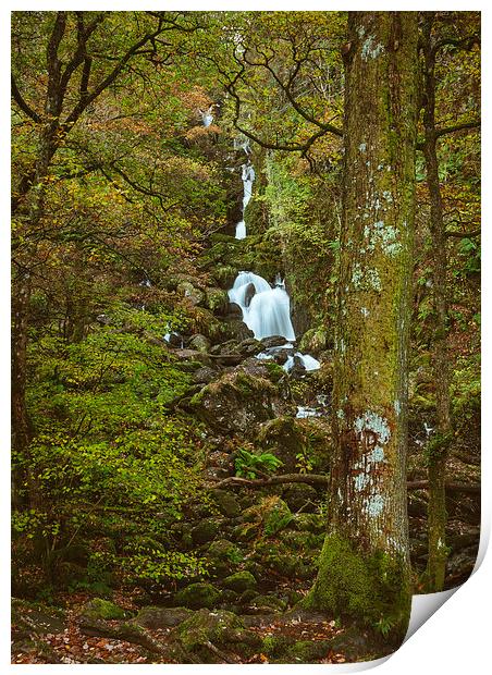 Deciduous woodland and Lodore Falls Waterfall. Print by Liam Grant
