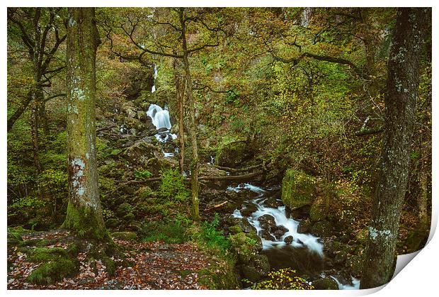 Deciduous woodland and Lodore Falls Waterfall. Print by Liam Grant