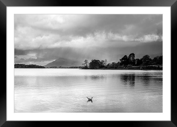 Evening rainclouds and distant rain over Skiddaw a Framed Mounted Print by Liam Grant