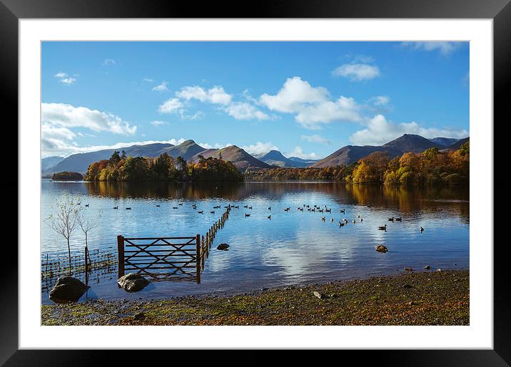 View over Derwent Water with Cat Bells and Derwent Framed Mounted Print by Liam Grant