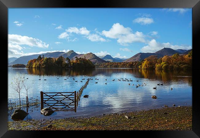 View over Derwent Water with Cat Bells and Derwent Framed Print by Liam Grant