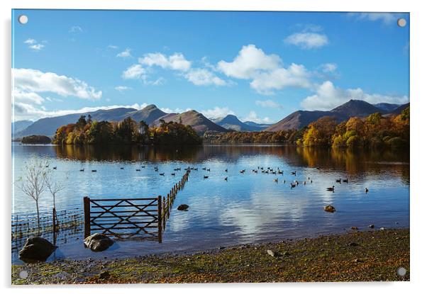 View over Derwent Water with Cat Bells and Derwent Acrylic by Liam Grant