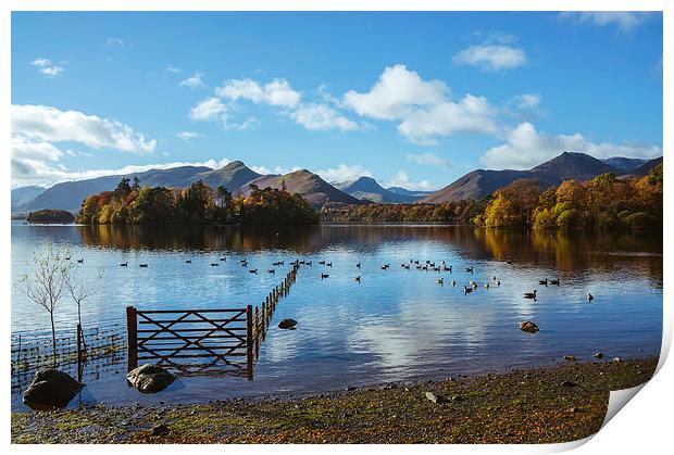 View over Derwent Water with Cat Bells and Derwent Print by Liam Grant