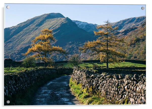 Larch trees and remote road to Thorneythwaite Farm Acrylic by Liam Grant