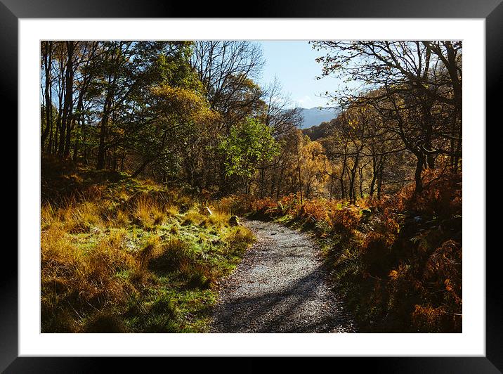 Footpath to the Bowder Stone in Borrowdale. Framed Mounted Print by Liam Grant