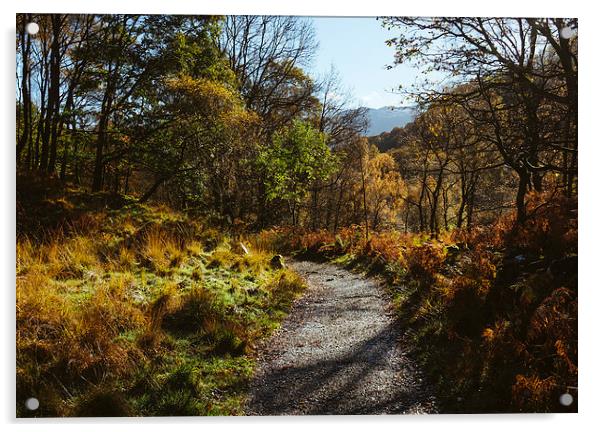 Footpath to the Bowder Stone in Borrowdale. Acrylic by Liam Grant