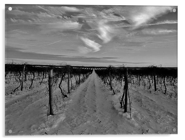 Vineyards Winter End. Acrylic by Jeffrey Evans