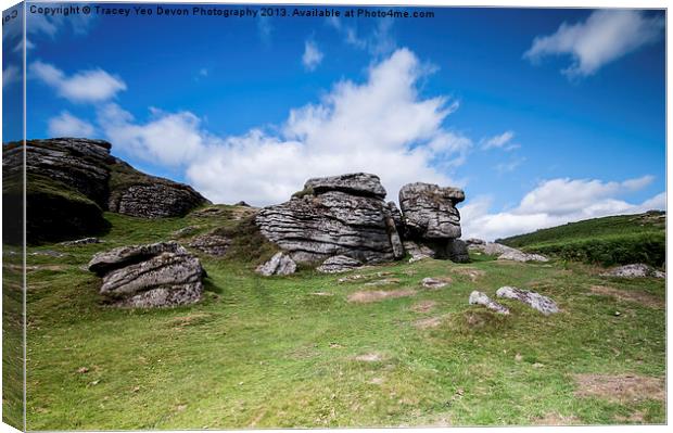 Bell Tor Dartmoor Canvas Print by Tracey Yeo