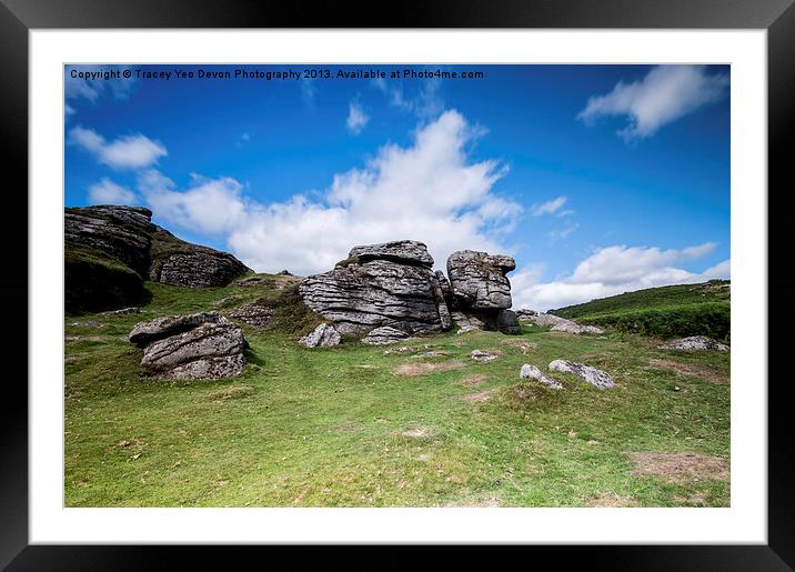 Bell Tor Dartmoor Framed Mounted Print by Tracey Yeo