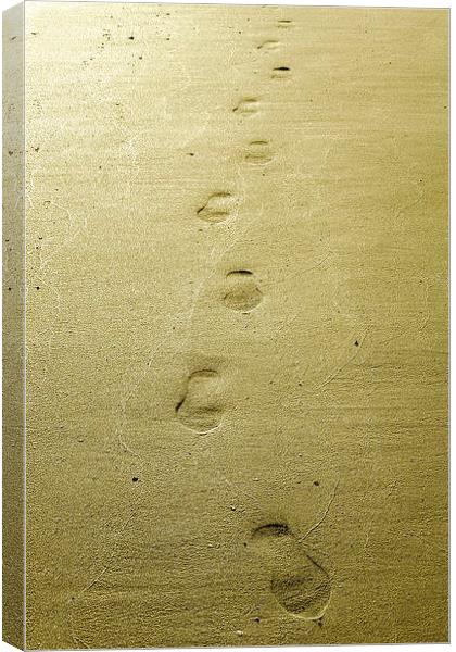 walking on the beach Canvas Print by Heather Newton