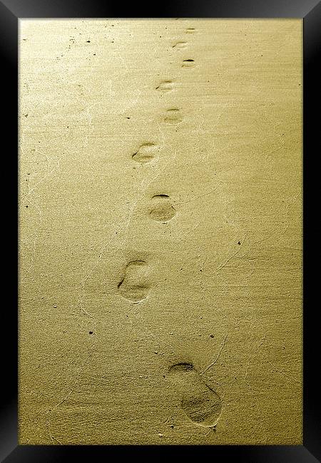 walking on the beach Framed Print by Heather Newton