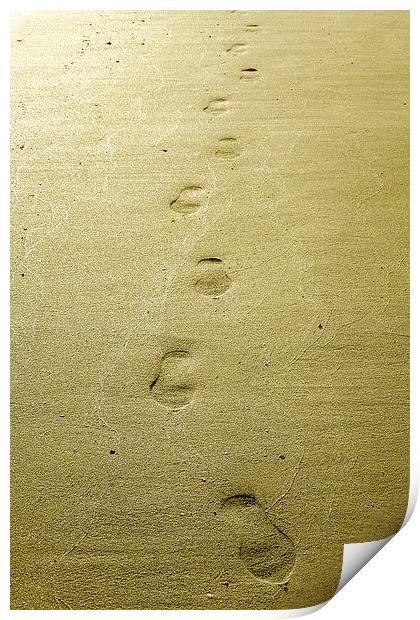 walking on the beach Print by Heather Newton