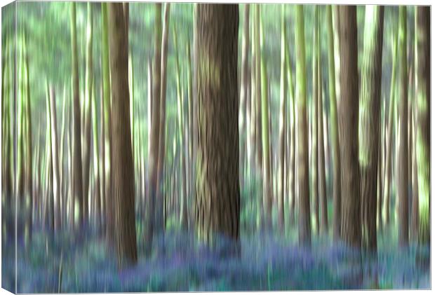 bluebell wood Canvas Print by Heather Newton