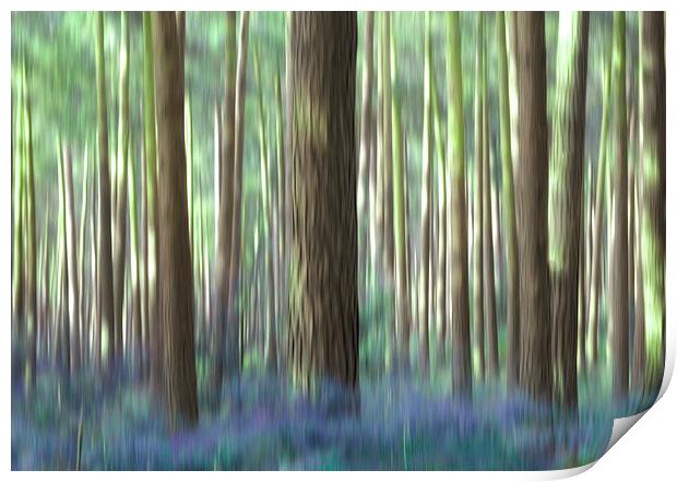bluebell wood Print by Heather Newton