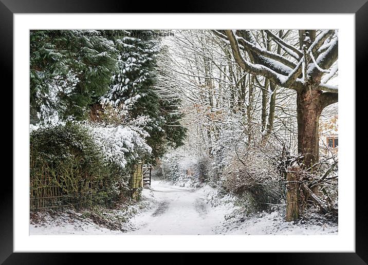 Path Through The Snow Framed Mounted Print by Ann Garrett