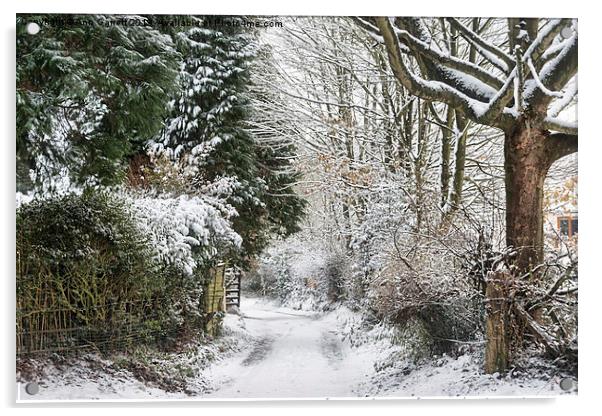 Path Through The Snow Acrylic by Ann Garrett