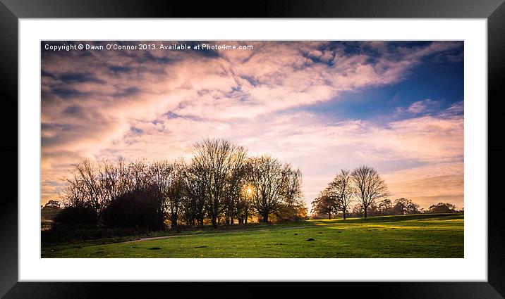 Mote Park Maidstone Framed Mounted Print by Dawn O'Connor