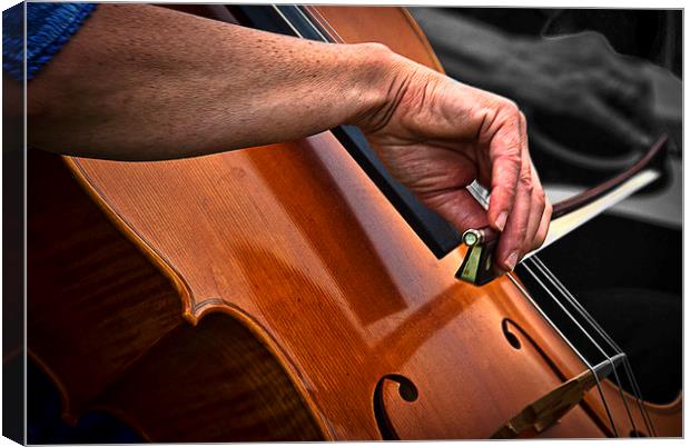 The Cello Canvas Print by Ian Lewis