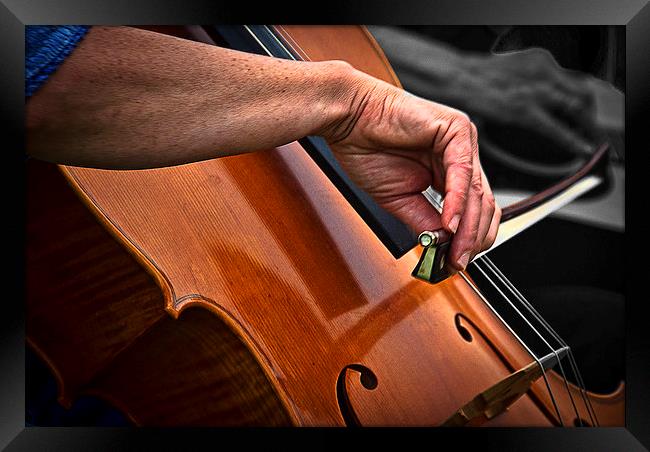 The Cello Framed Print by Ian Lewis