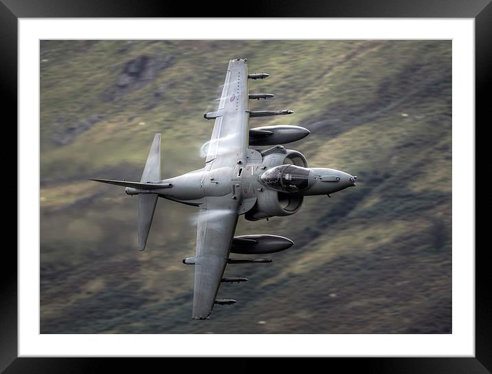 RAF Harrier Framed Mounted Print by Rory Trappe
