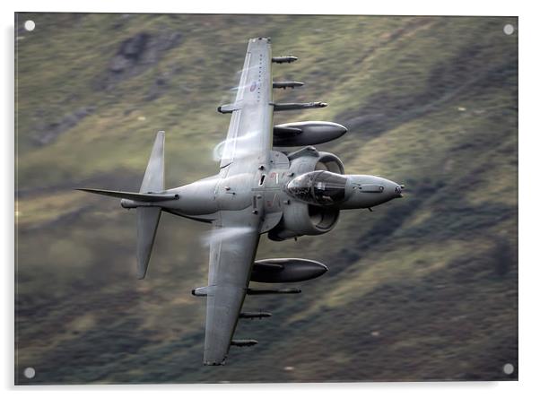 RAF Harrier Acrylic by Rory Trappe