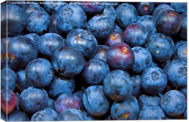 Sweet Blueberries Canvas Print by Michael Waters Photography