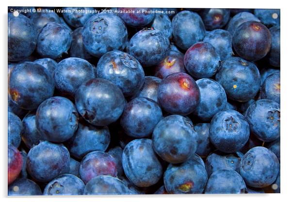 Sweet Blueberries Acrylic by Michael Waters Photography