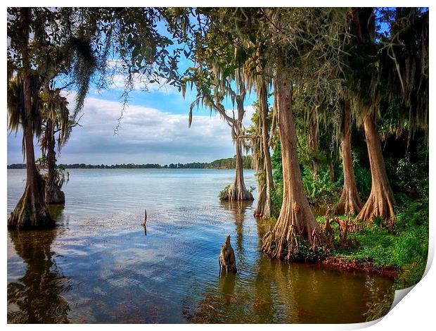 Winter Haven outlook Print by matthew  mallett