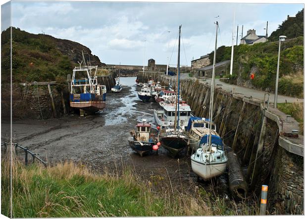Amlwch Port Anglesey Canvas Print by malcolm fish