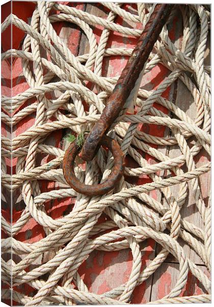 Rope and Anchor Canvas Print by Callum Paterson