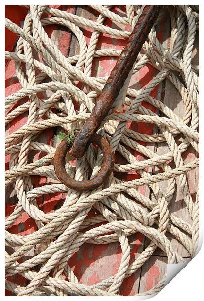 Rope and Anchor Print by Callum Paterson